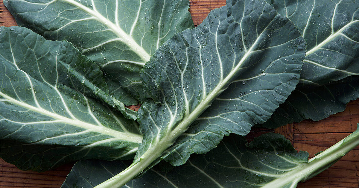 Are collard greens better raw or cooked?